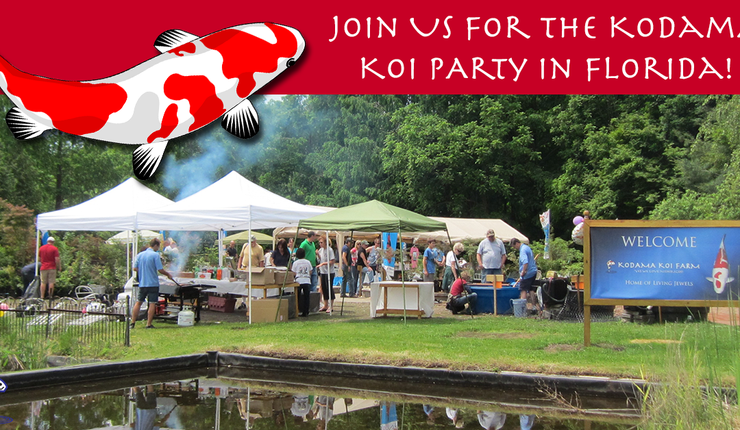 Florida Pond Party, High Quality Koi, & Free Giveaways