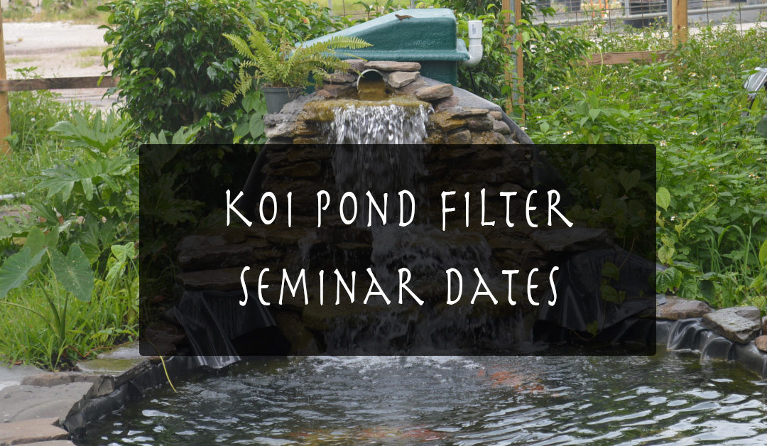 Koi Pond Filter Seminar By Kodama