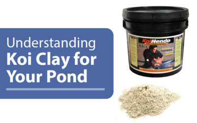 Understanding Koi Clay, Minerals, & Vitamins from Japan