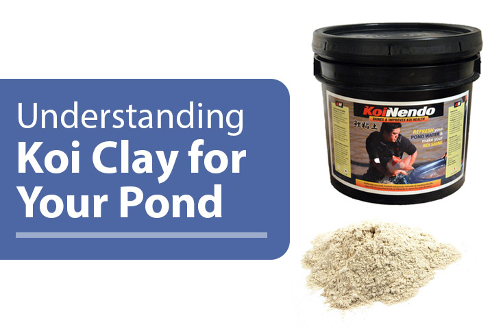 Understanding Koi Clay, Minerals, & Vitamins from Japan