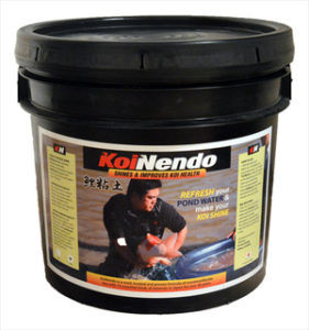 koinendo also known as refresh koi clay