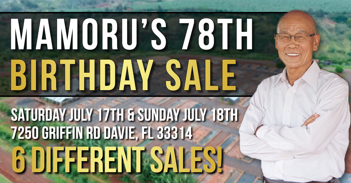 Kaicho-78th-Birthday-Sale