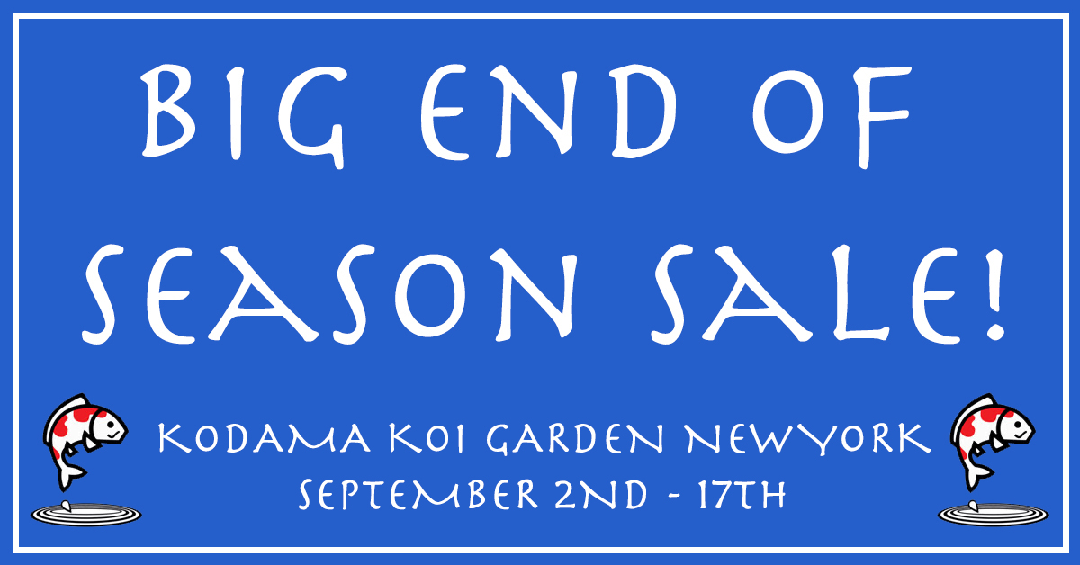 NY end of season sale banner